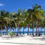 White sand and palm trees at Bohol Beach Club, Philippines