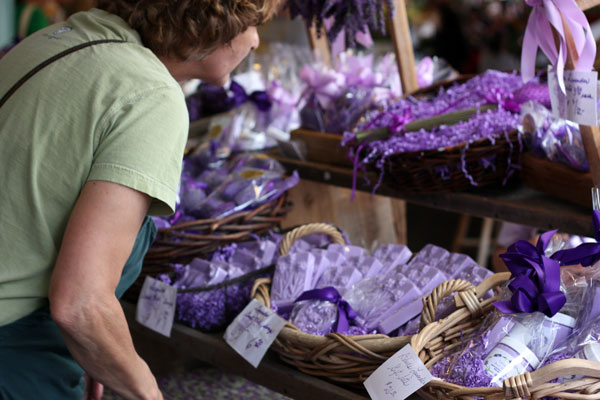 Lavender for sale at Pike Place Market