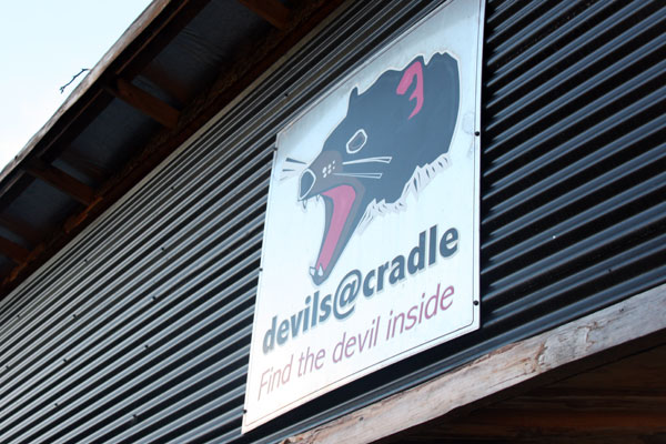 devils@cradle Tasmanian Devil Sanctuary