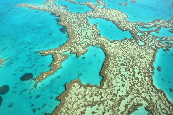 The Great Barrier Reef From Above